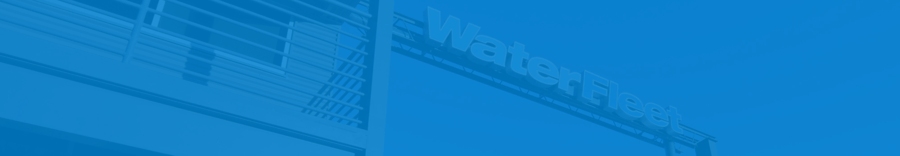 The Beauty of Lorem Ipsum: A Visual Exploration